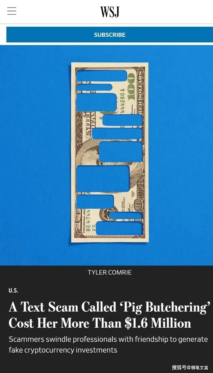 杀猪盘风暴席卷欧美，浪漫骗局连欧美精英都得中招_搜狐网