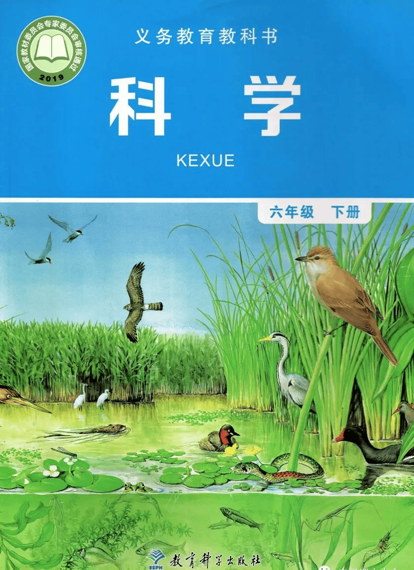 新教材教科版六年级科学下册电子课本