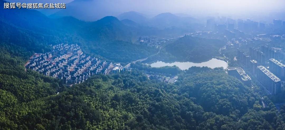 杭州半山林畔(售楼处)首页网站-半山林畔-半山林畔欢迎您-半山林畔楼盘详情 @售楼处_生活_服务_自然