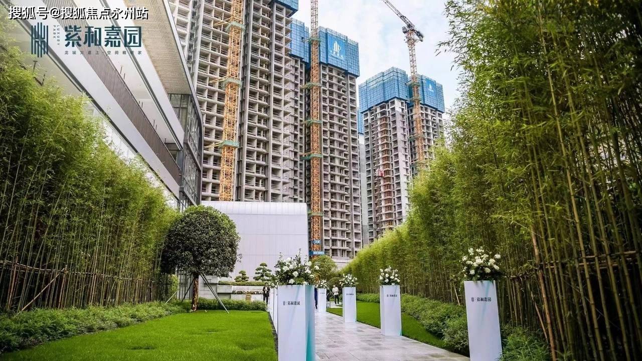 紫和嘉园(公寓)紫和嘉园楼盘详情/地铁/学校/最新房价-项目由6栋28-30层的住宅组成_户型图_中心城_空间