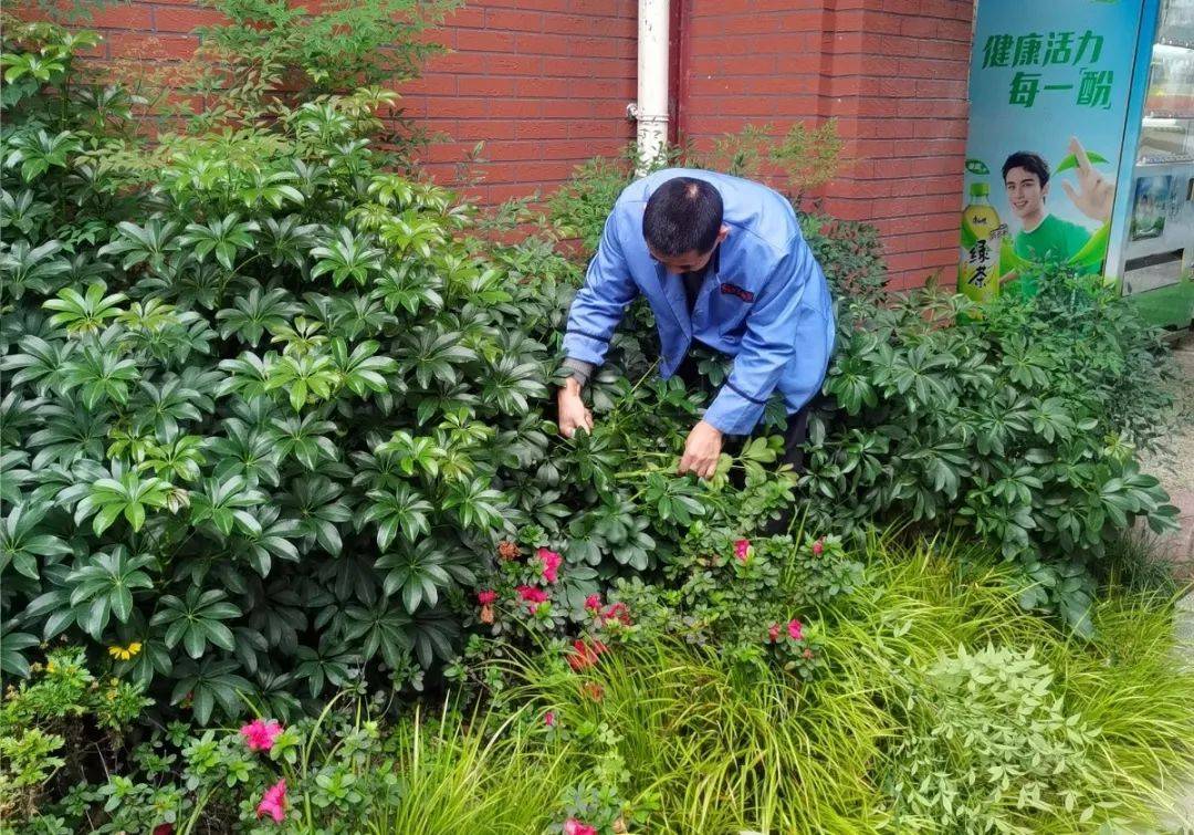 重庆学校后勤服务质量提升之路