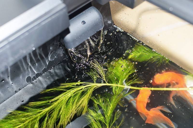 当贝智能鱼缸 1 Ultra 现代科技与自然生态的完美融合