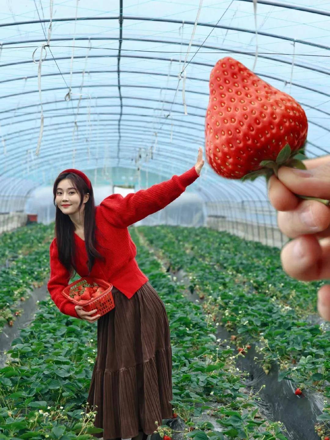 9个创意摘草莓拍照姿势!愿新的一年,"莓"有烦恼!