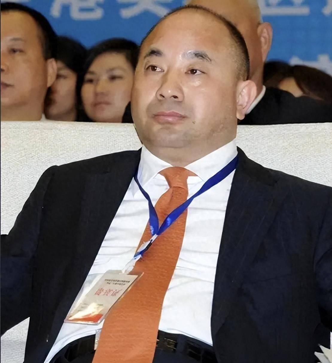 原创王文银手握千亿矿产营收高达7227亿最后却成为老赖为何