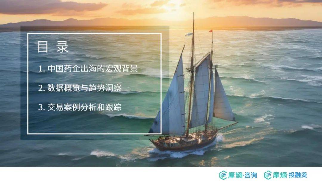 ​摩熵咨询：2024年中国药企出海总体趋势与挑战，药企出海布局报告-报告智库