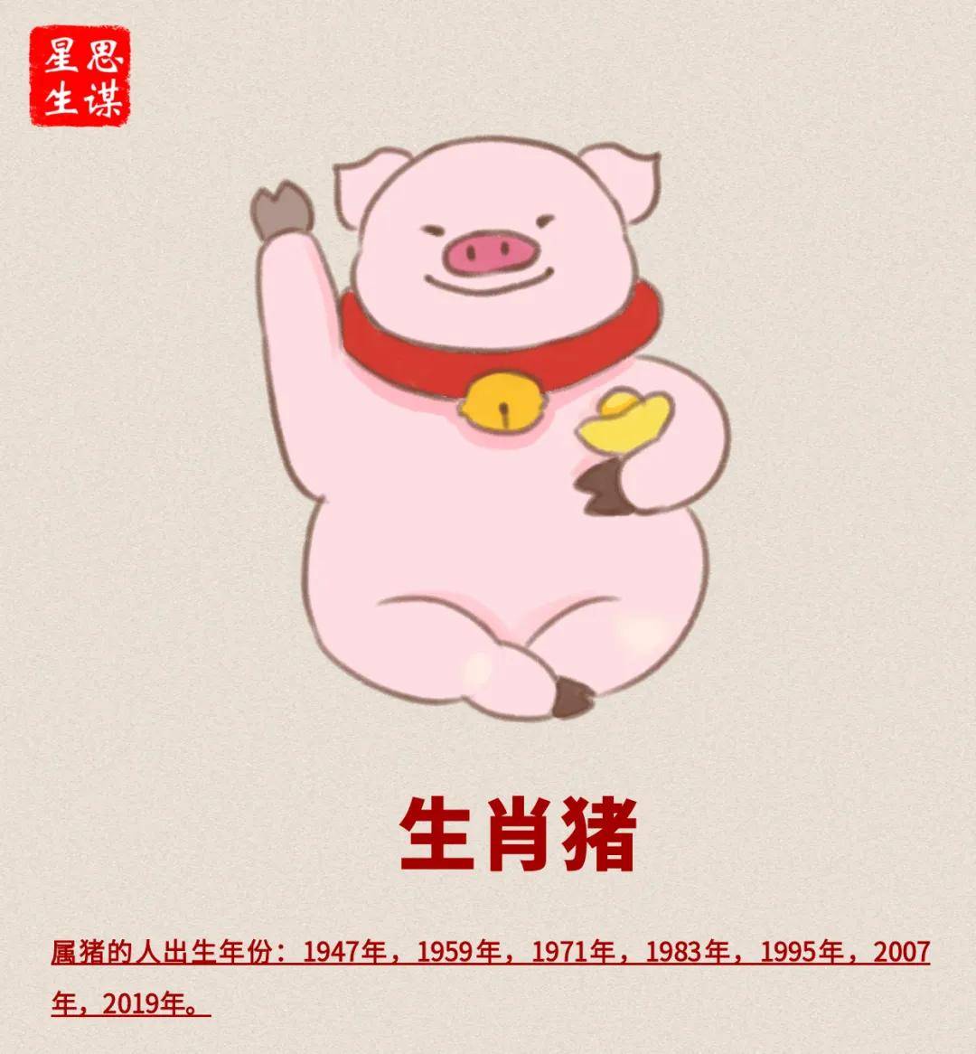 猪年生肖运势腾讯新闻(生肖猪2021年运势详解全年运程完整版)