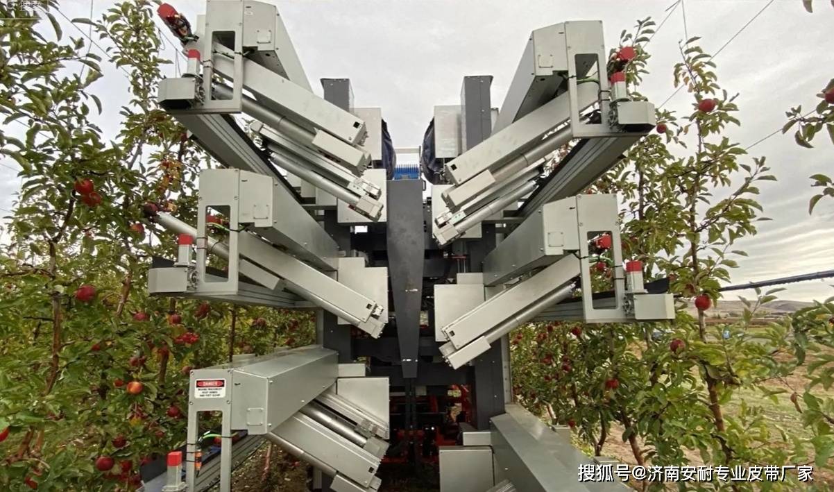 摘果机皮带:水果高效采摘的“秘密武器”_过程_输送带_接头