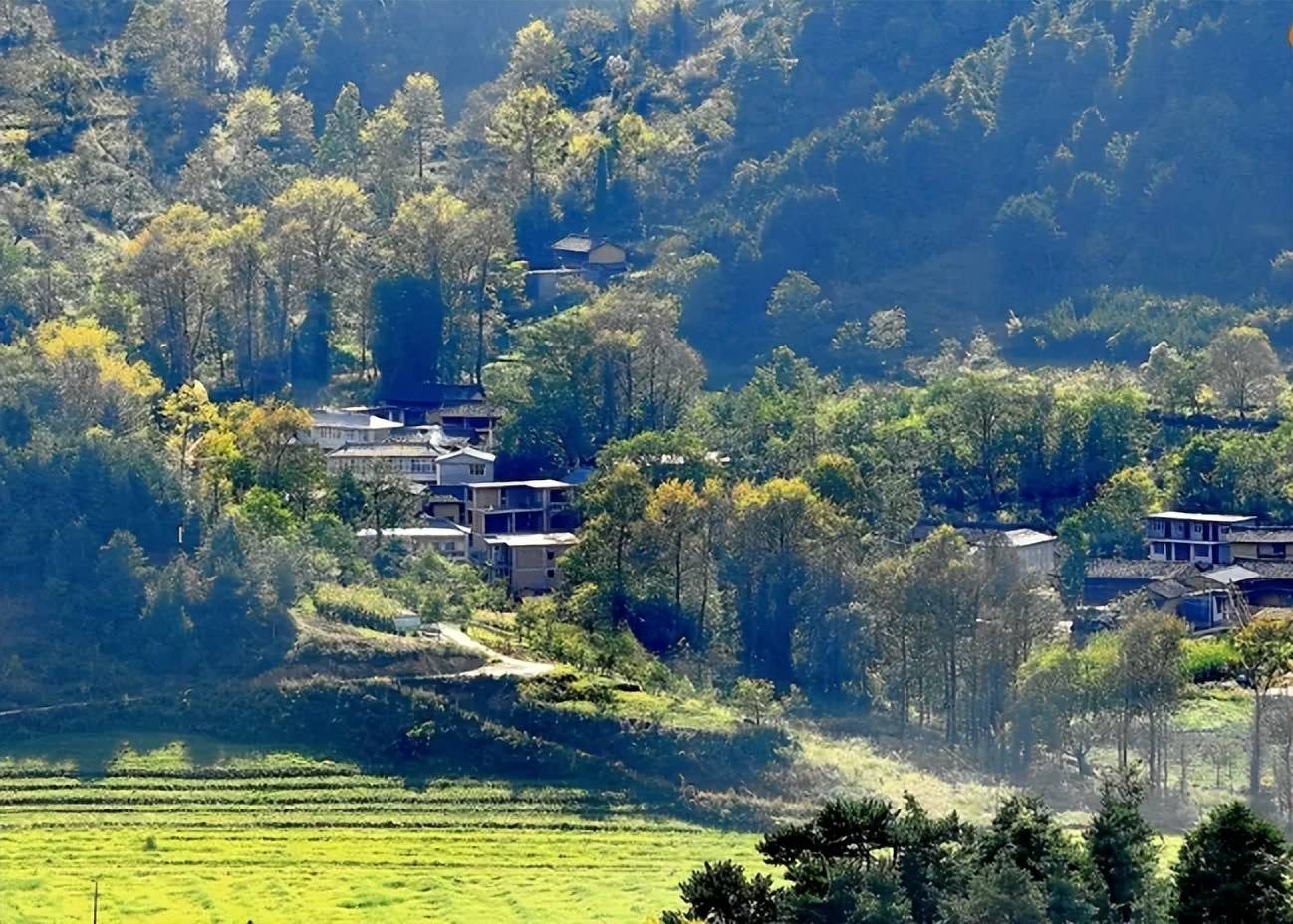 文章配图-3
