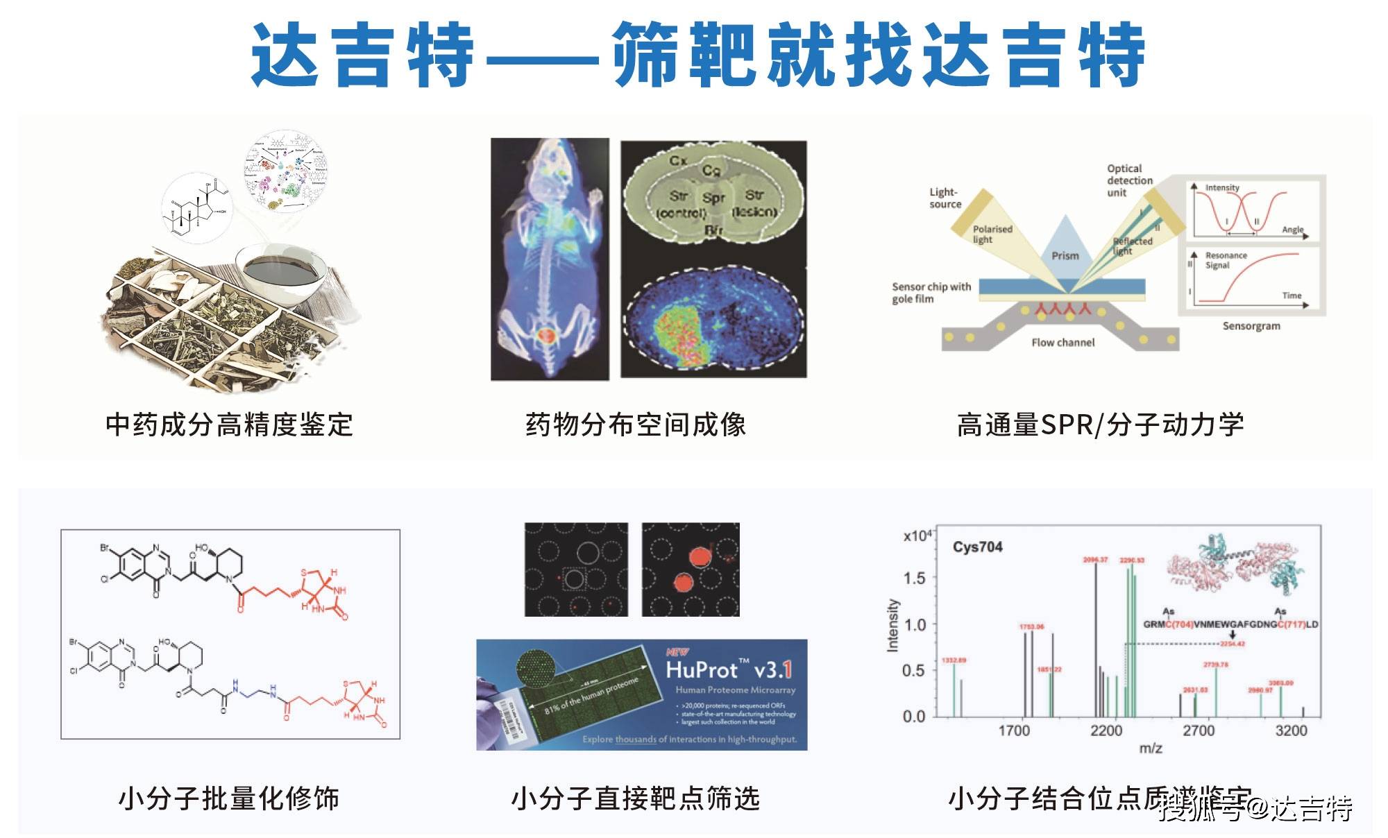 探索SPR分子互作技术在药物研发中的重要性_实验_服务_研究人员