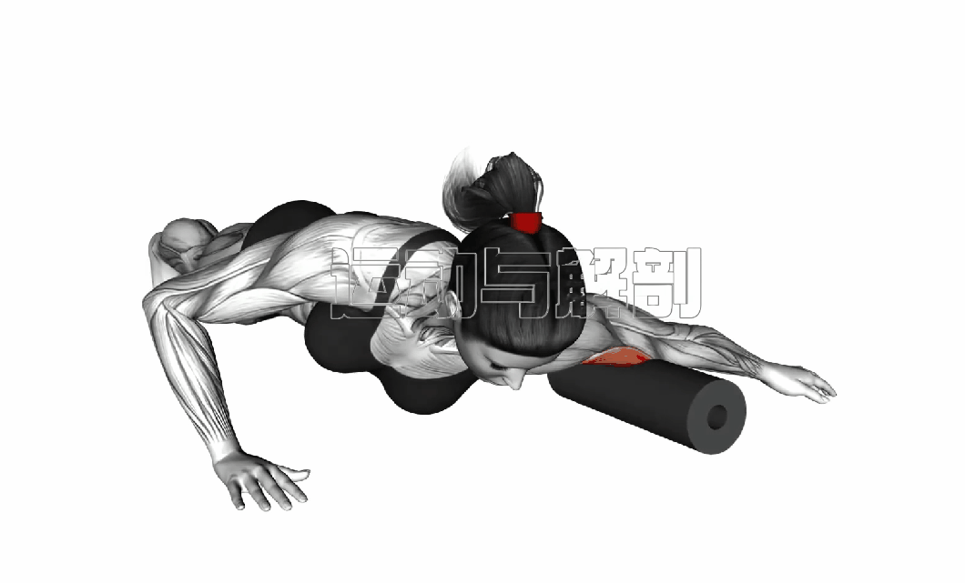 肩臂训练经典动作解析