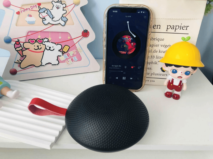 蓝牙音箱选哪个？内行人告诉你选蓝牙音箱技巧！2025年音箱推荐