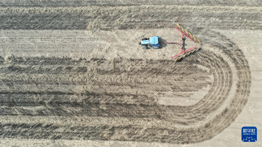 中国经济样本观察·企业样本篇丨“数”养千万猪——解锁牧原股份的“智”变密码