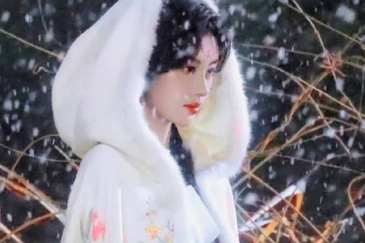 《灯花笑》选角引热议,鞠婧祎成陆曈热门人选_形象气质_角色_方面