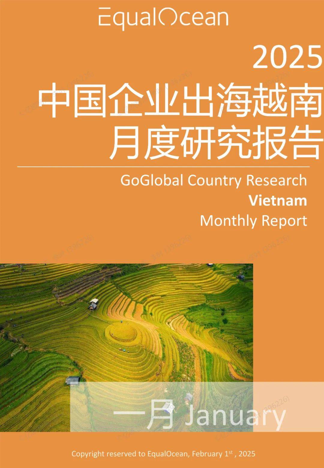 2025年中国企业出海越南月度研究报告，中国企业出海越南数量多少-报告智库