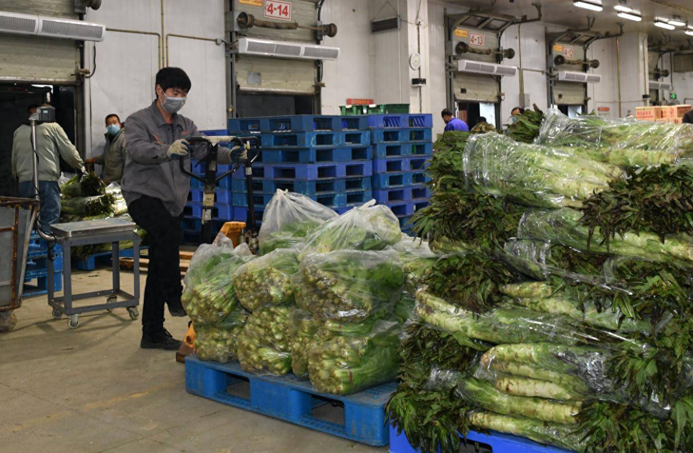 蔬菜配送行业仓储管理应该怎么做