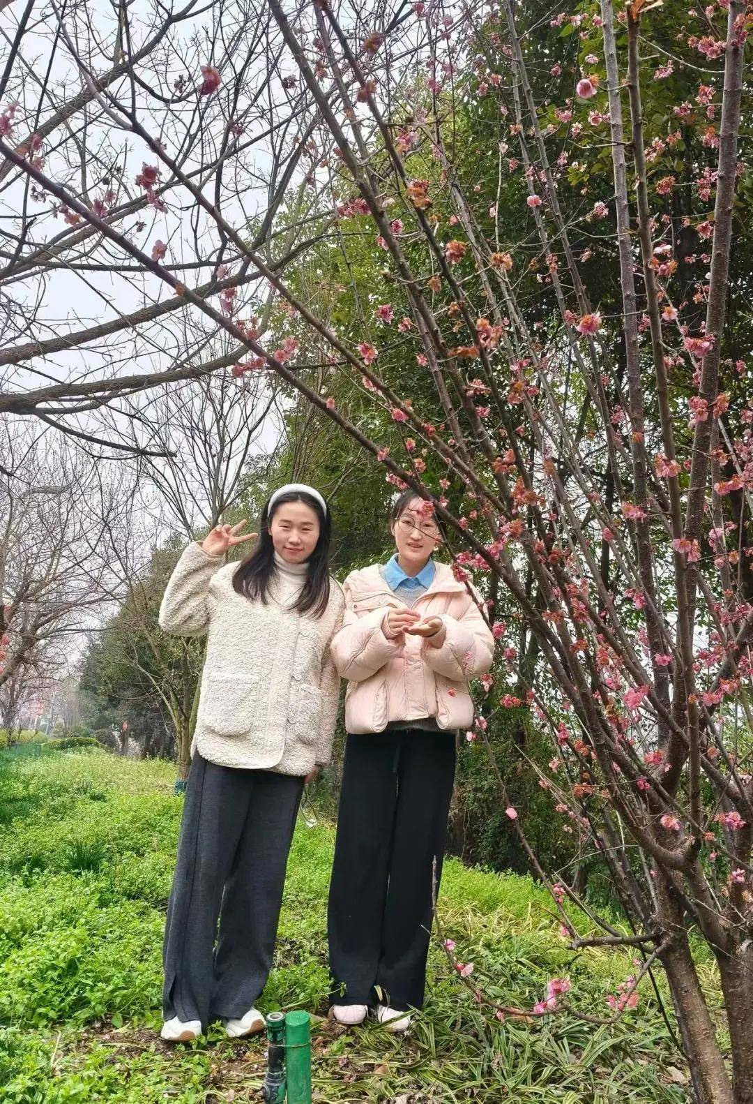 梓潼中学以"食力女神,绽放力量"为主题,开展女神节活动