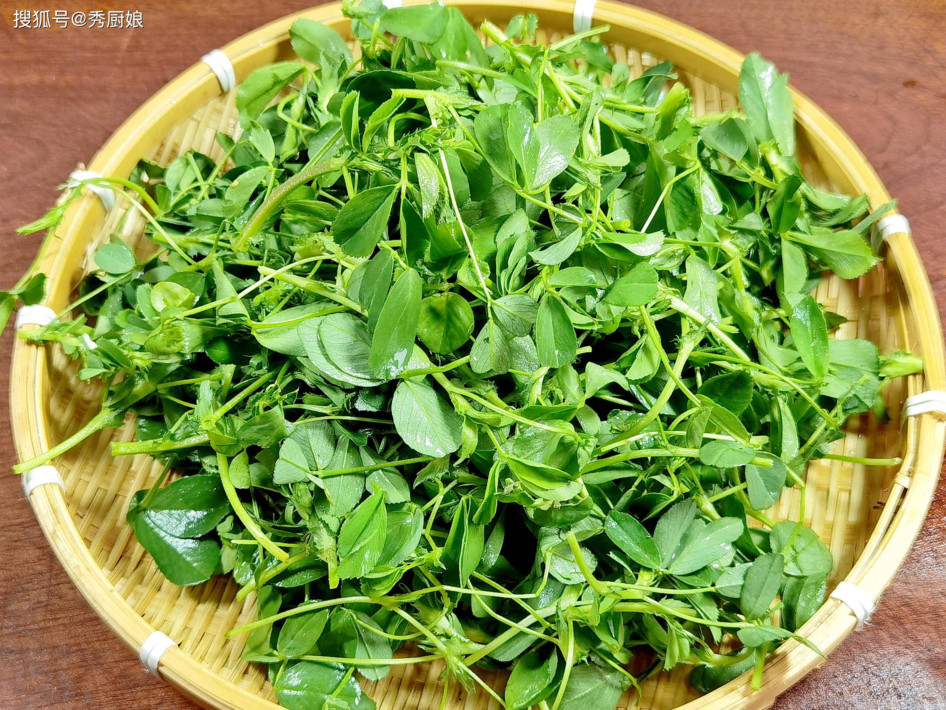 春天,这3种菜使劲吃,一通便,二护眼,三祛湿热,蒸一蒸太香了