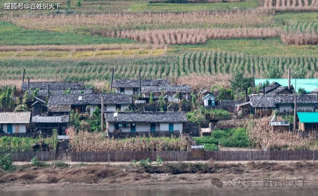 朝鲜农村之旅:泥巴路,牛车与集体生活的真实图景