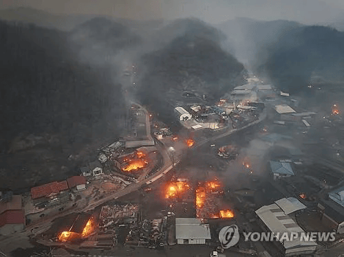 韩国多地山火，韩娱圈明星纷纷伸出援手