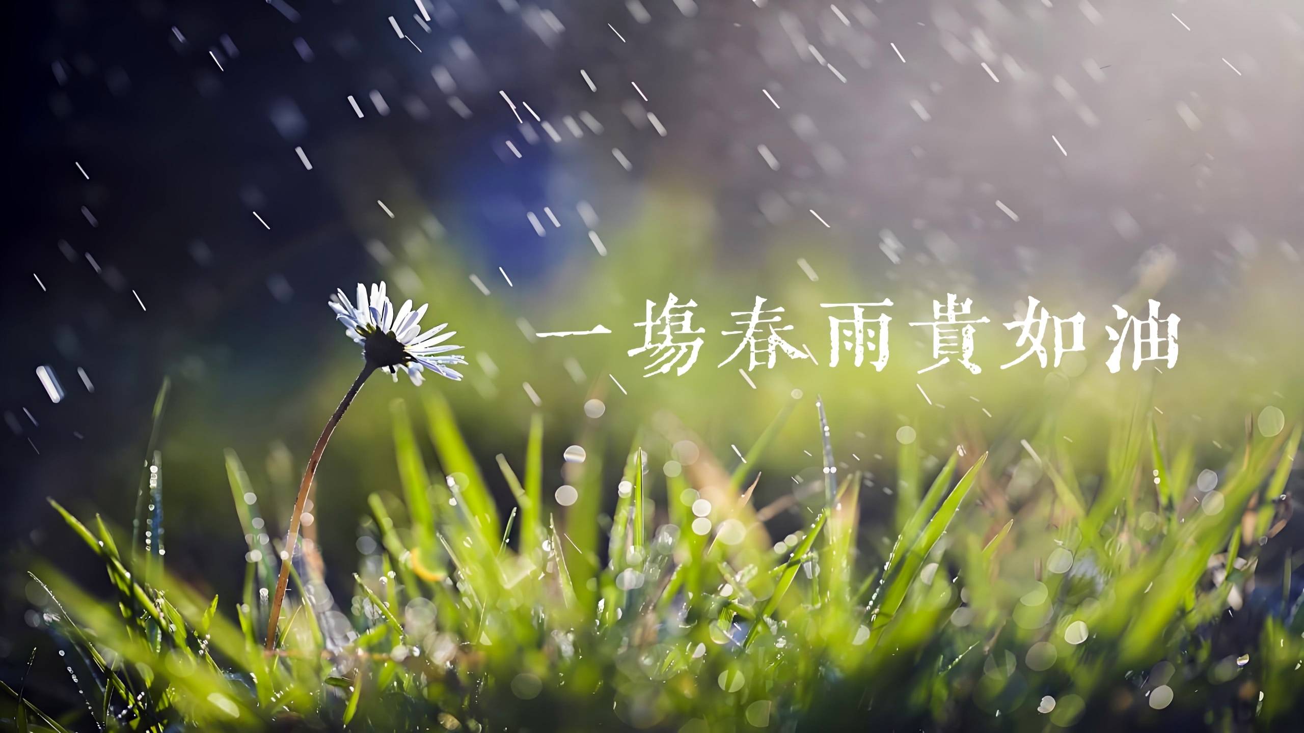 "春雨贵如油",这一场春雨,能值多少钱?