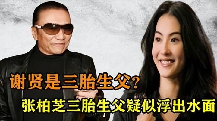 张柏芝三胎生父成谜!谢贤被疑,谢霆锋回应,背后真相究竟如何?