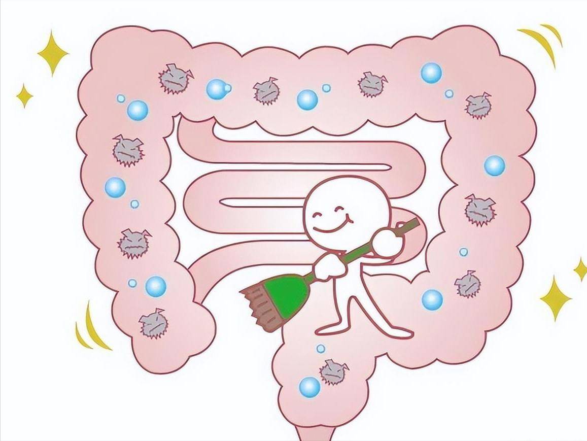 人体每天最佳排便次数,若你也符合,恭喜,说明肠胃还算健康