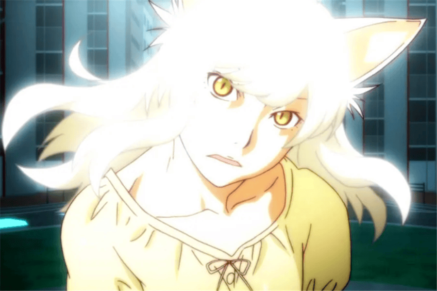 原创动漫中很可爱的7位猫耳娘猫娘绯鞠漂亮性感五更琉璃喜欢猫猫