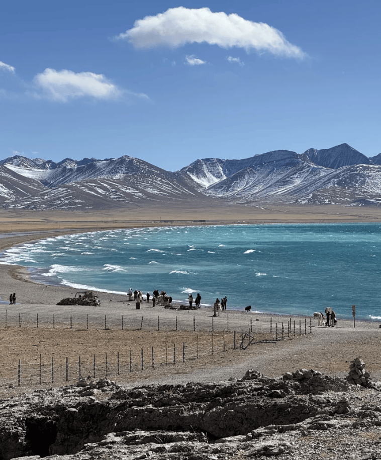 上海旅游网：探索魔都魅力的新窗口