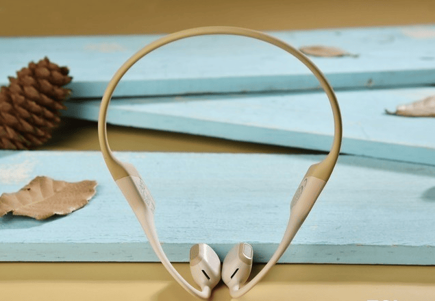 2025不入耳的蓝牙耳机哪个牌子好?不入耳蓝牙耳机品牌排行榜前十名