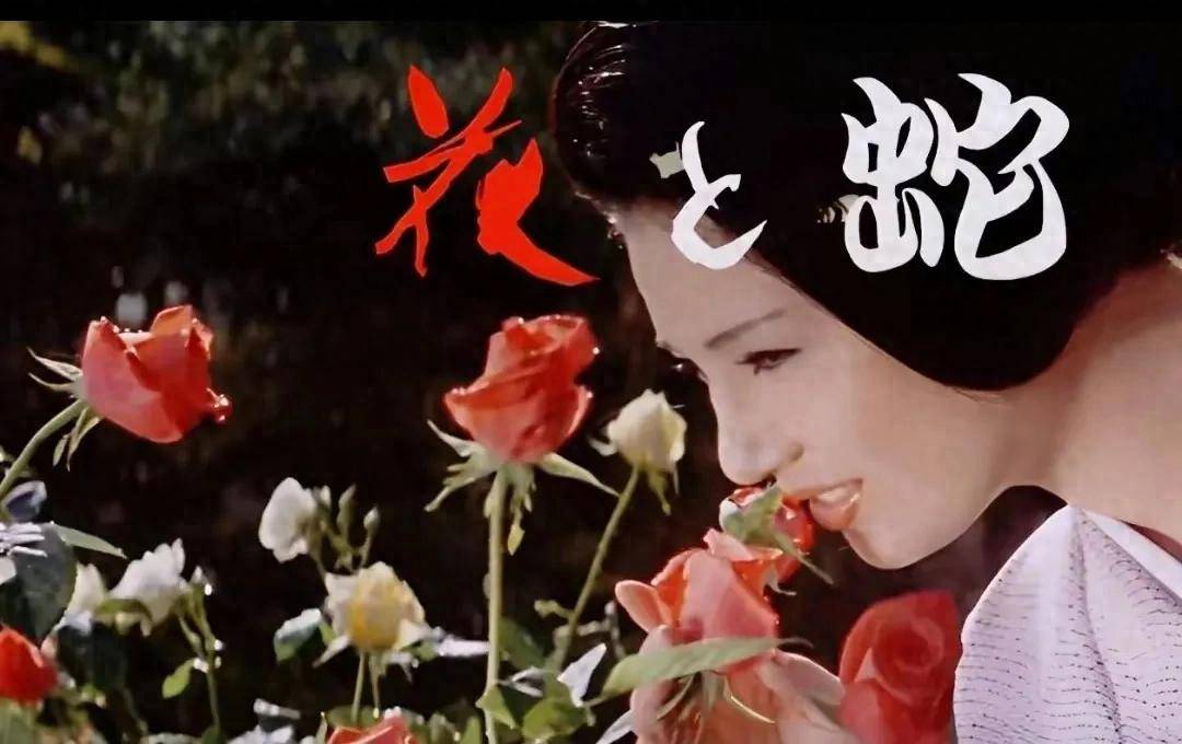 花与蛇2全集在线_渡边淳一原著改编_花与蛇电影分析