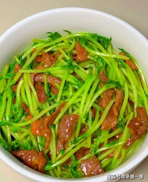 假期靠近阳光