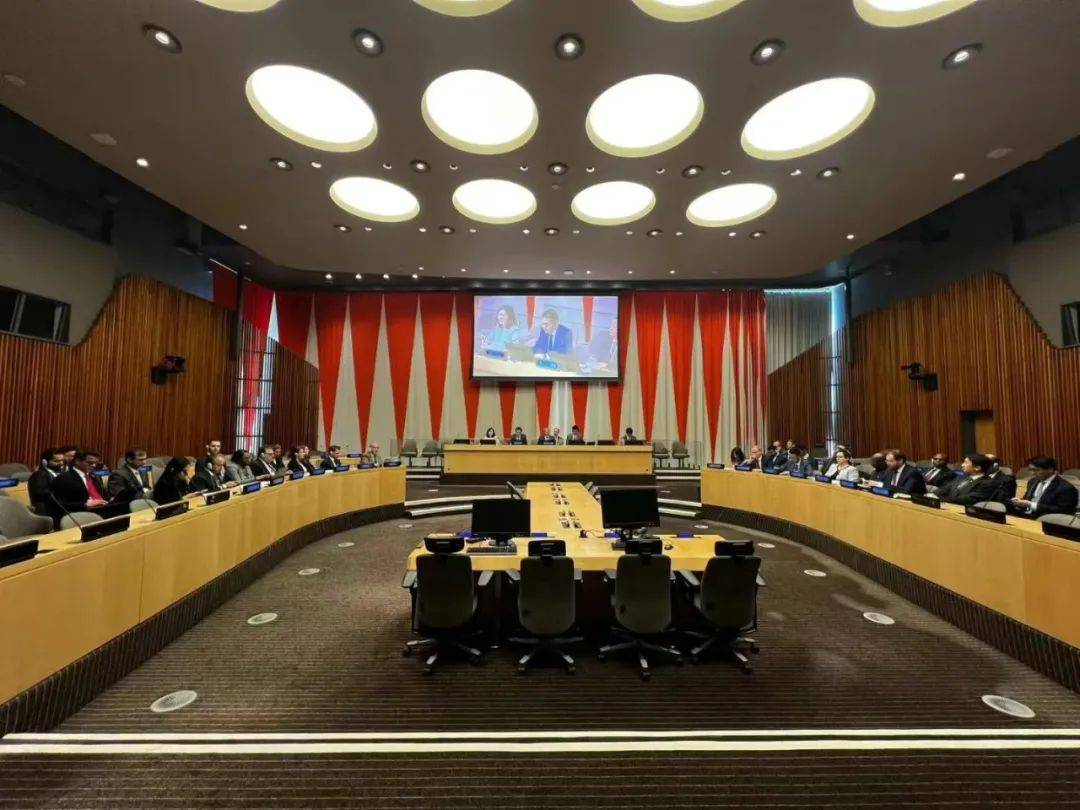 王辉耀联合国安理会非正式会议演讲