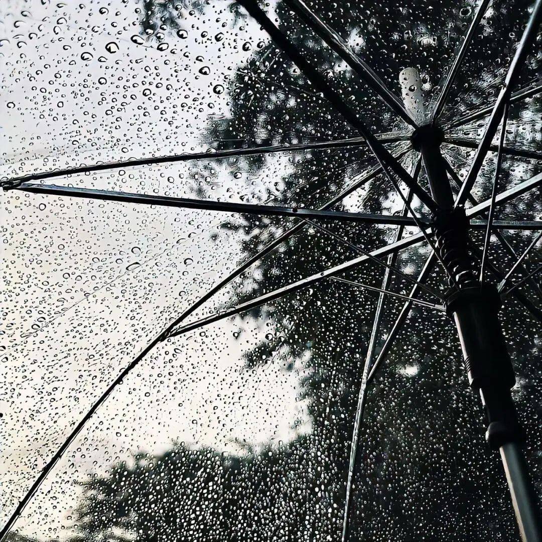 极具氛围感的雨天头像