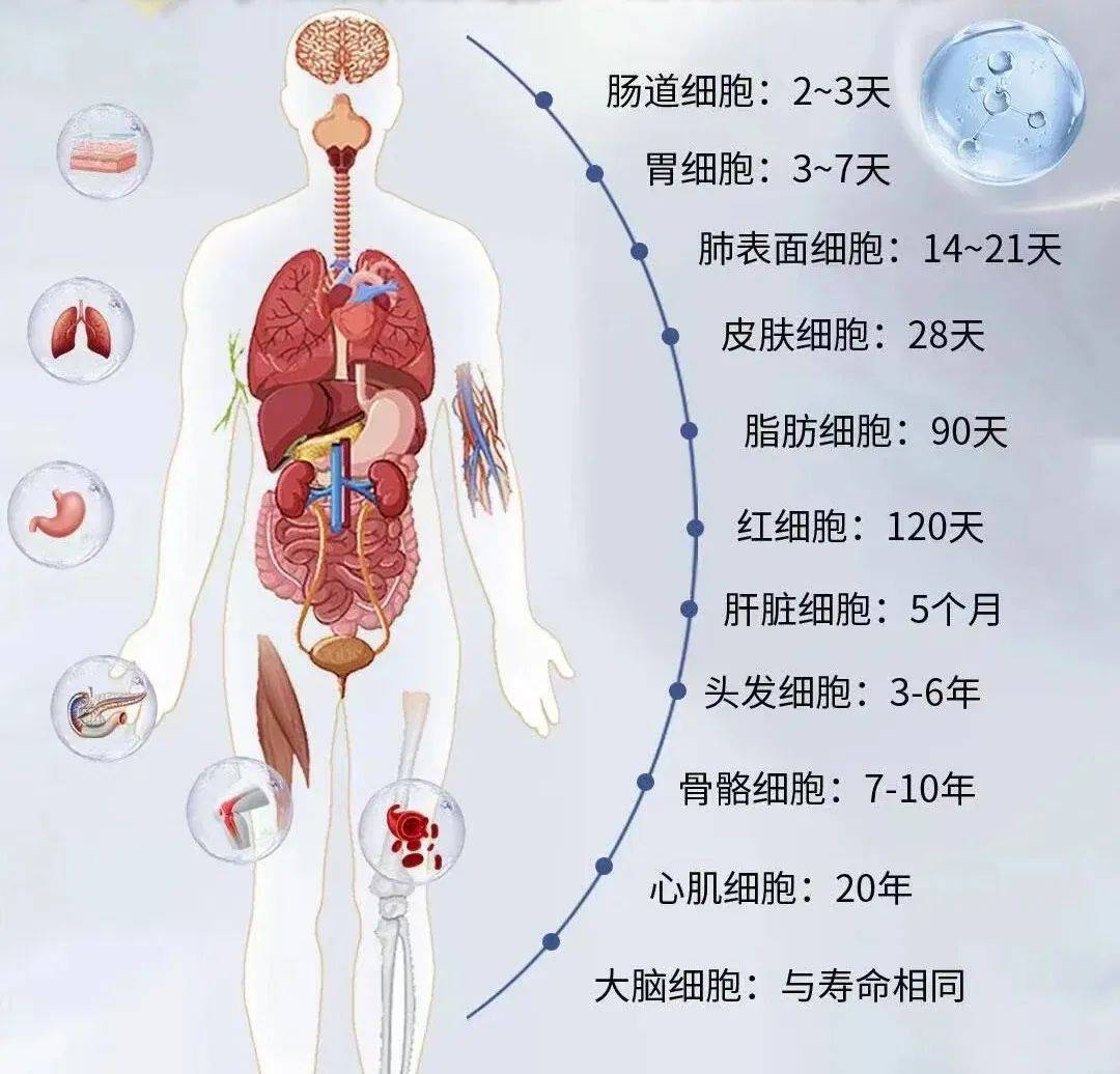 找到了干细胞抗衰老的问与答基本都在这