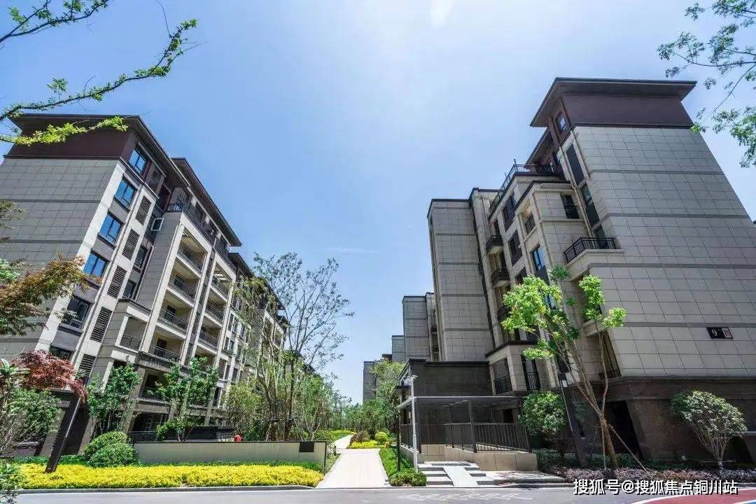 徐州大华梧桐院