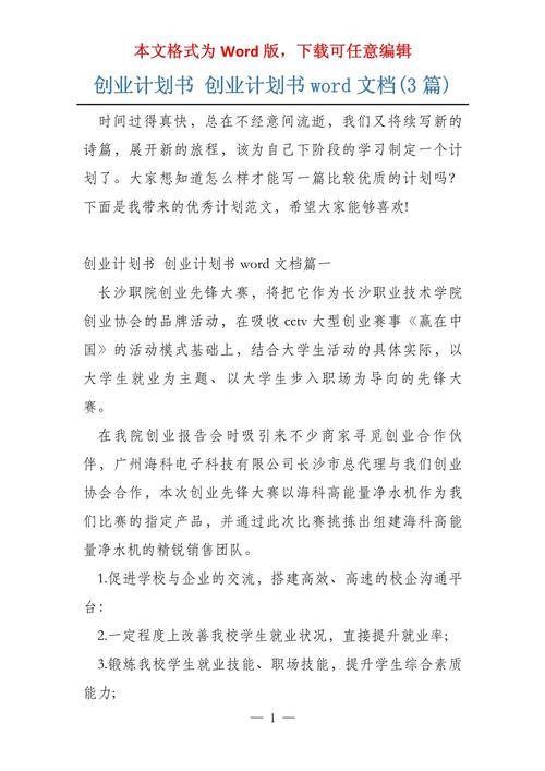 互联网创业大赛项目计划书模板范文(互联网创业大赛项目计划书模板范文大全)