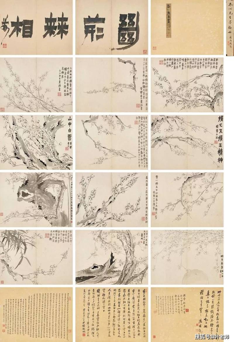 中国嘉德2025春拍| 金农《墨梅册》2990万元成交_搜狐网