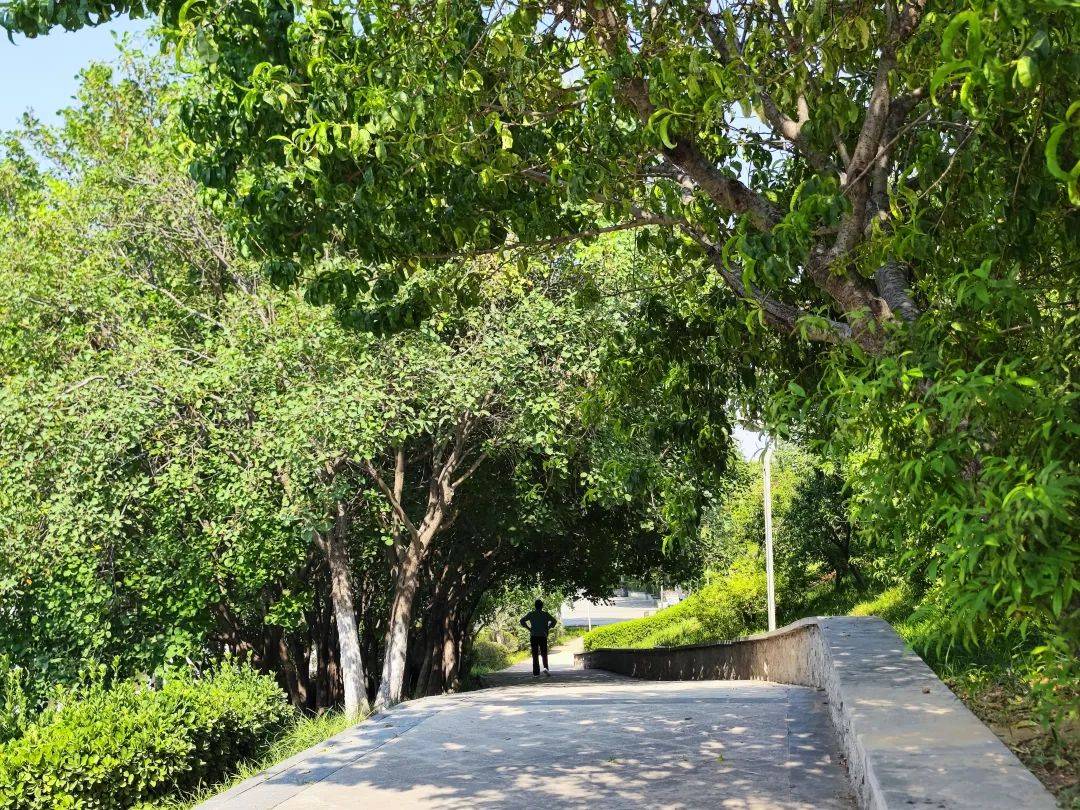 郑州兰河公园:一条玉带穿绿廊,透风,透光,清静,清凉