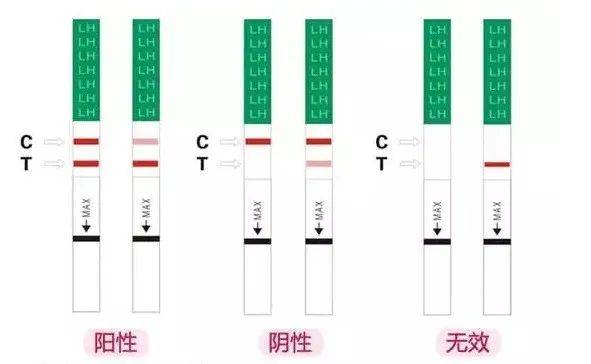月经规律、排卵试纸呈强阳，怎么就是不怀孕？