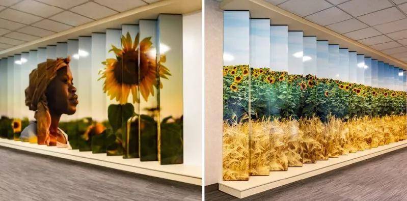 69c96d8d46984e4d8dda26aa4dfd103e