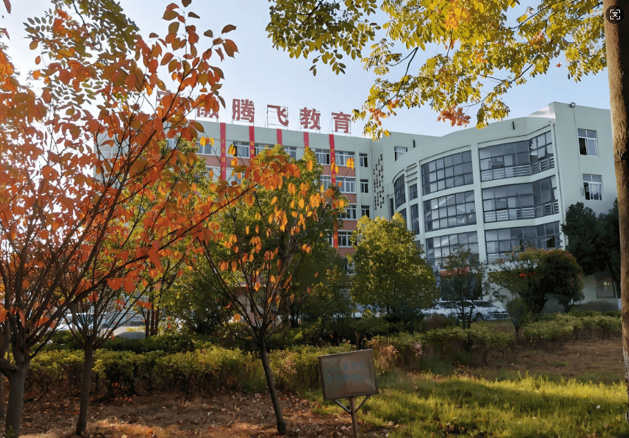 合肥腾飞学校高考校区怎么报名?