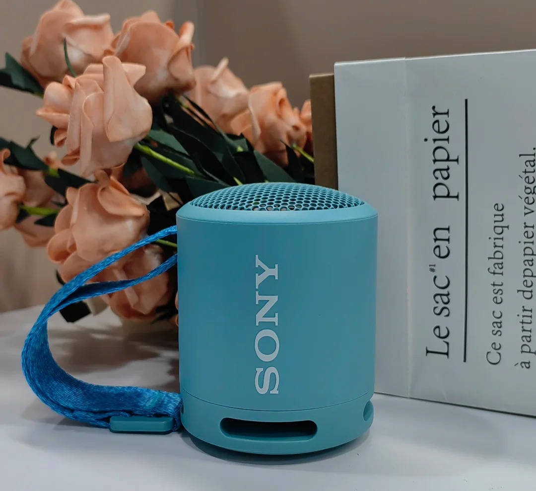 蓝牙音箱哪个牌子音质最好?精心整理十大音质最好的蓝牙音箱推荐