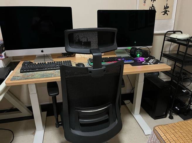 人体工学椅哪个牌子性价比高?2025年热门人体工学椅十大品牌推荐