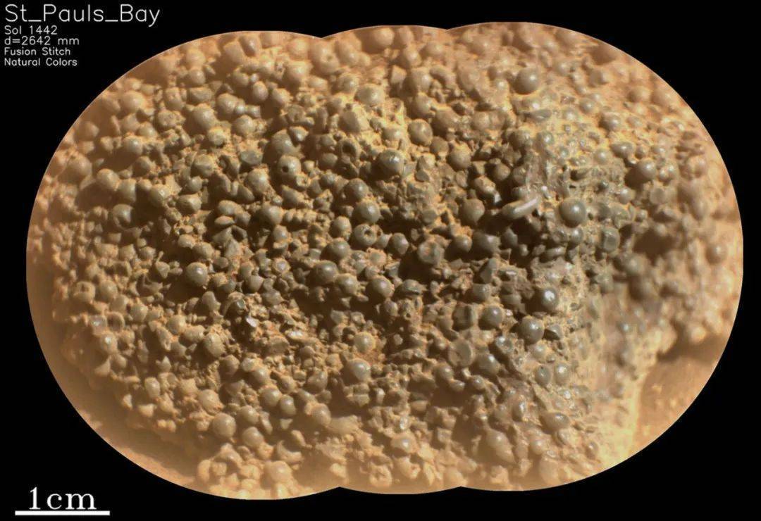 毅力号火星车发现恐怖怪石：表面密布小球，似有东西破壳而出