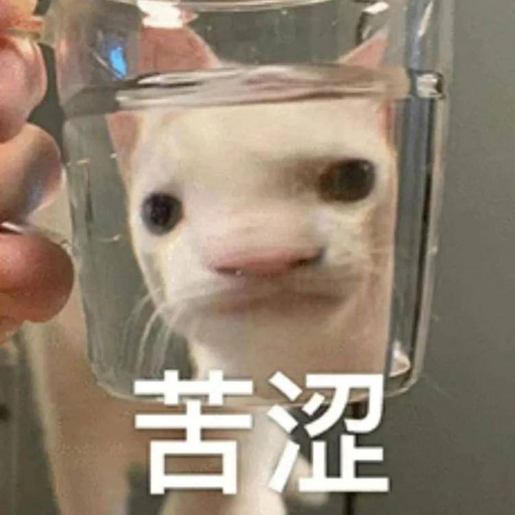 您赢得了“审查和学习的前十名”？