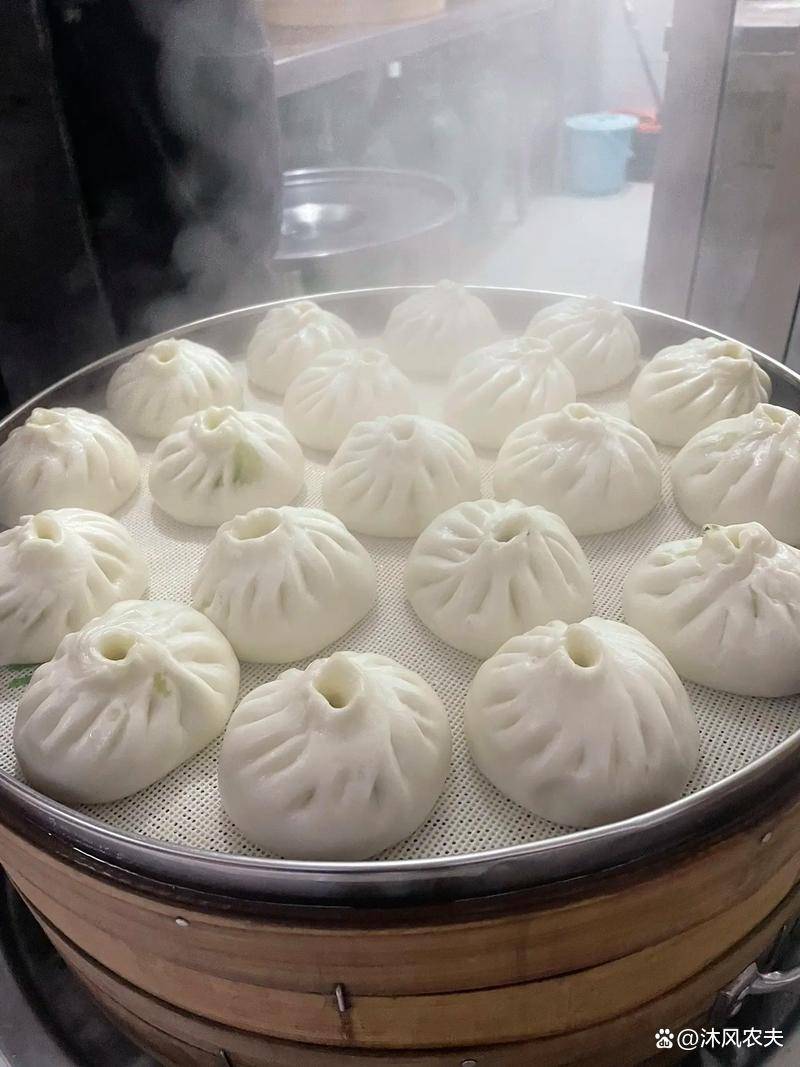 蒸包子开水上锅还是凉水？揭开背后科学原理与技巧