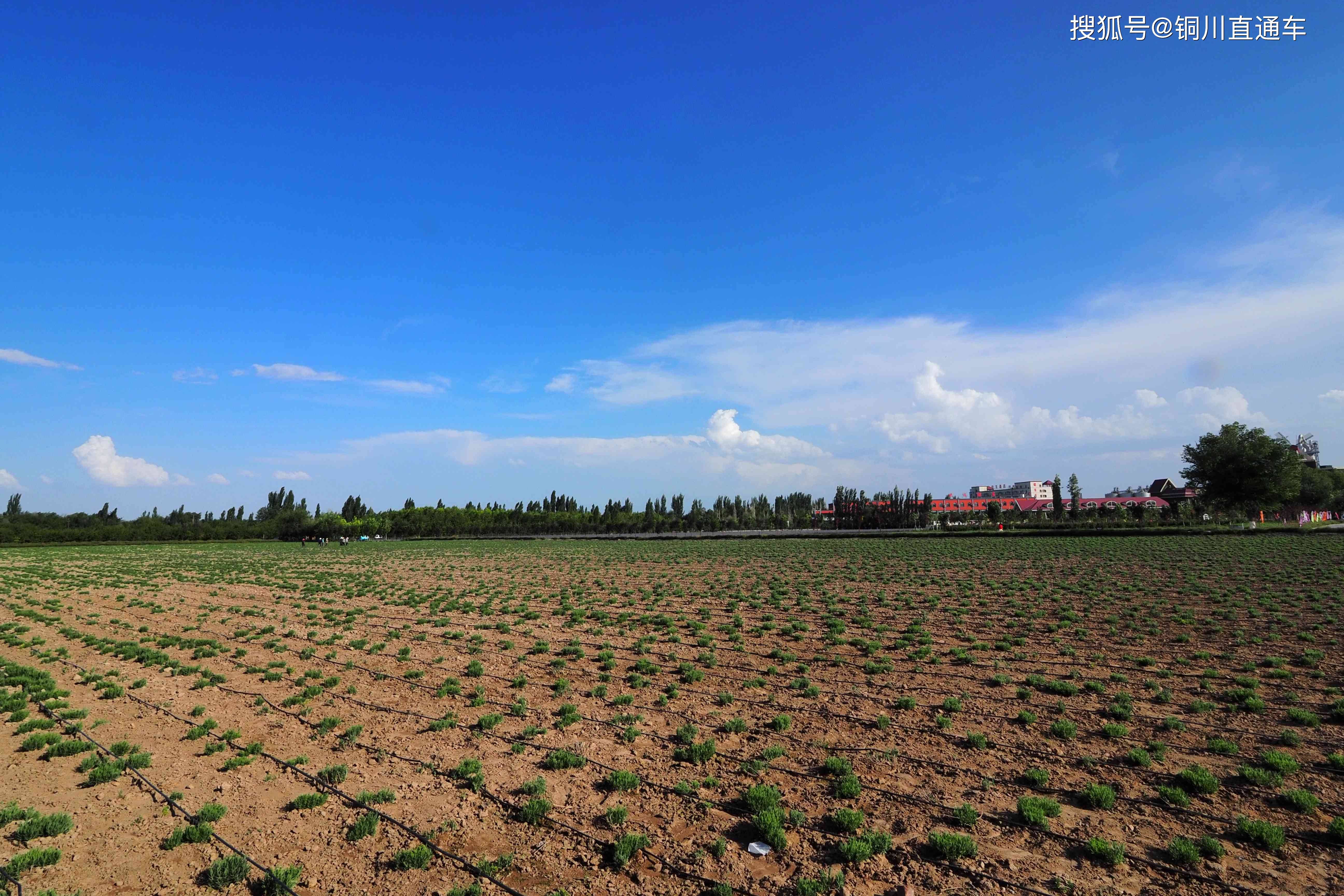 霍城县天气预报