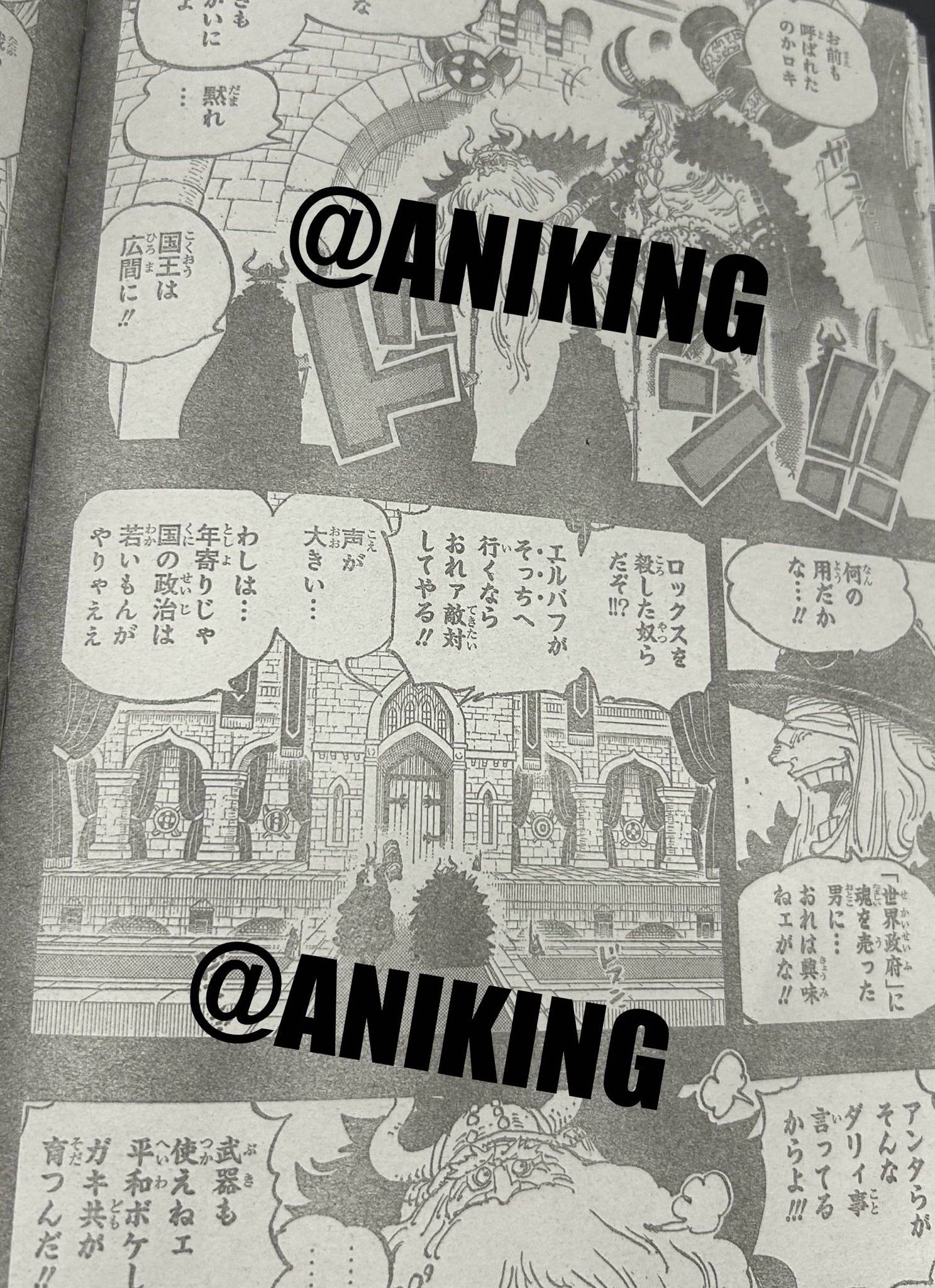 _海贼王巨人族霸国_海贼无双三霸王色之力