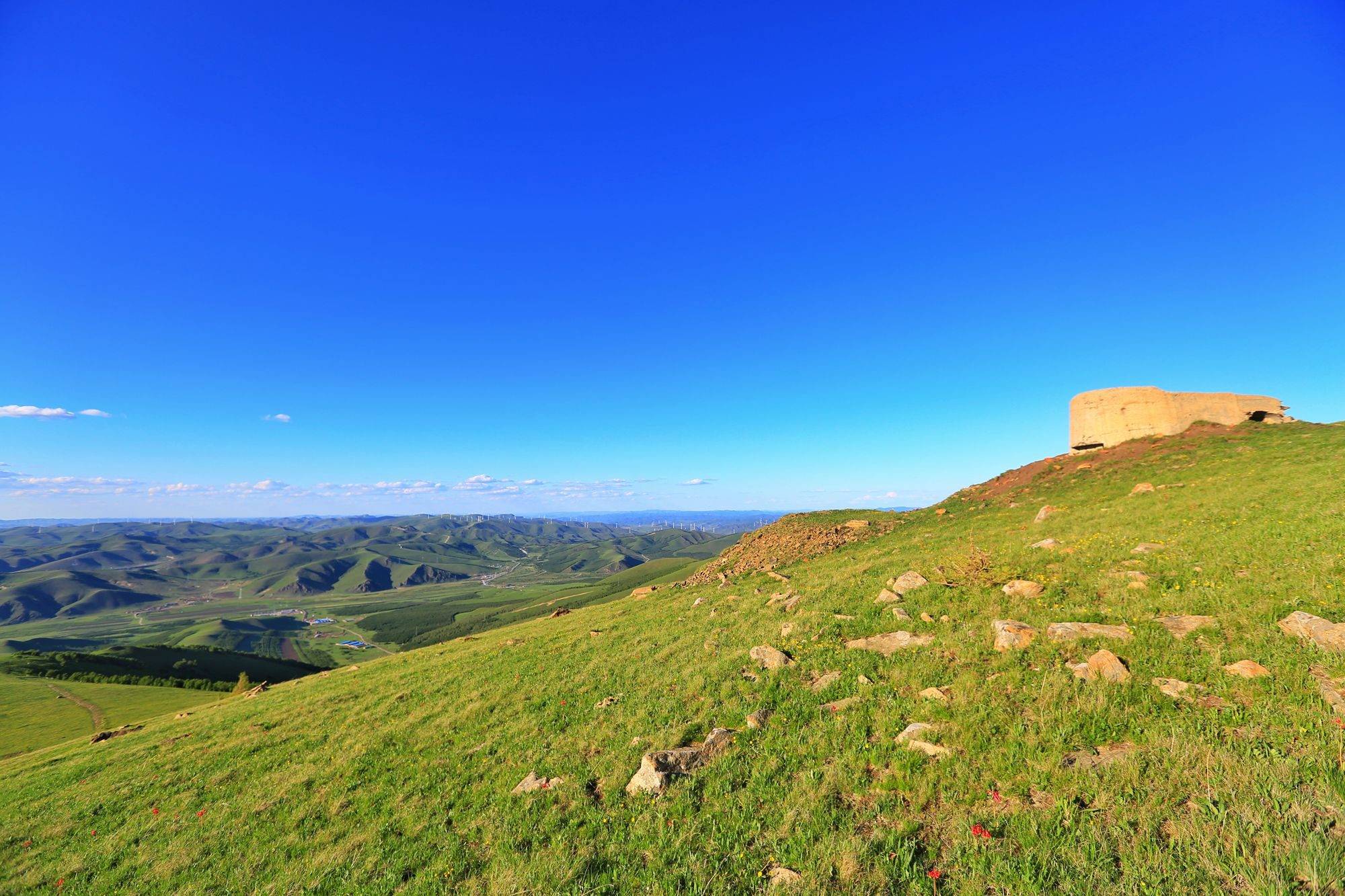 承德坝上云中草原,牛羊成群,风车晚霞,仿佛闯入了宫崎骏的夏天