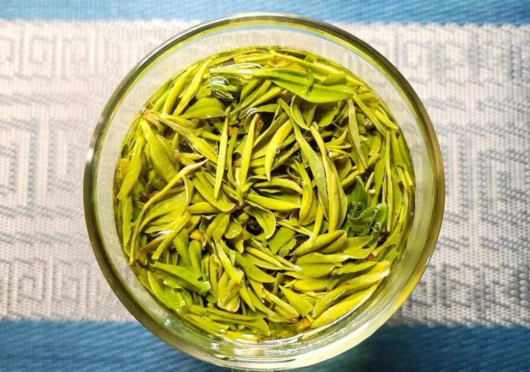贡品仙芽霍山黄芽